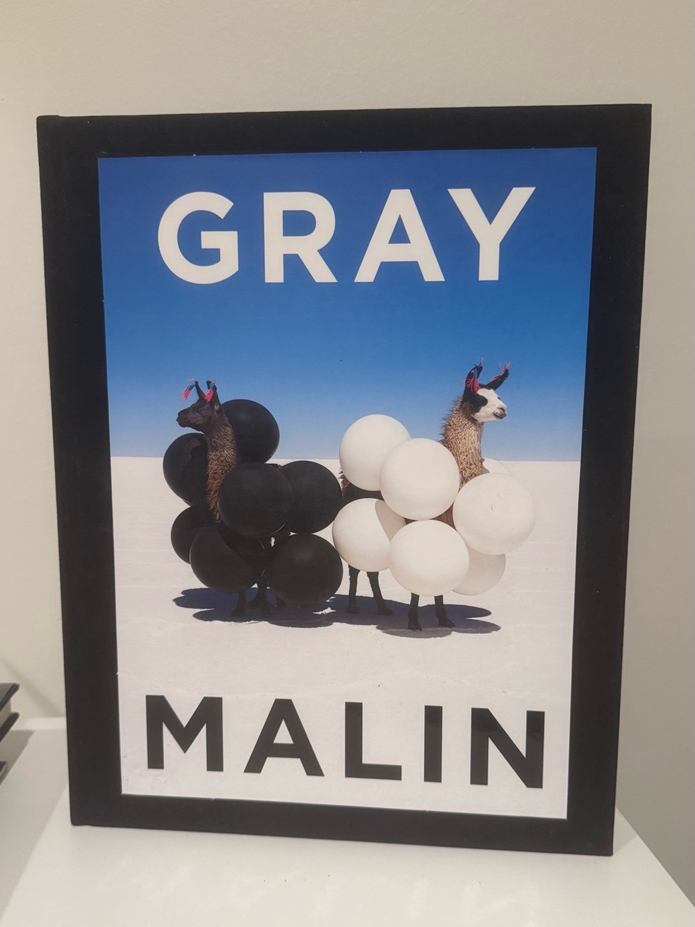 GRAY MALIN coffee table book